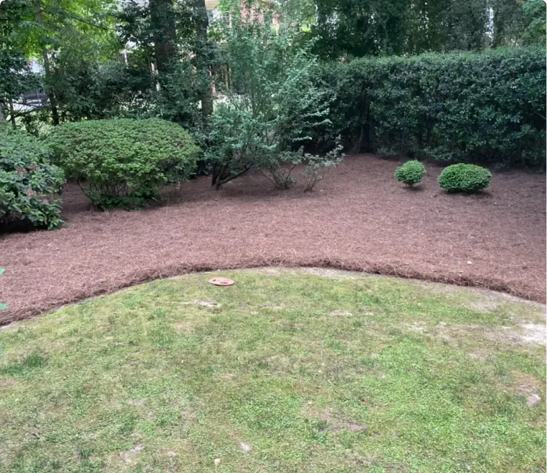 Planting beds edged and covered in fresh mulch