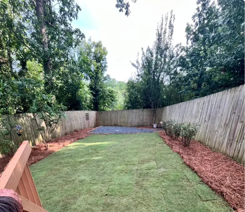 Backyard rebuild, after